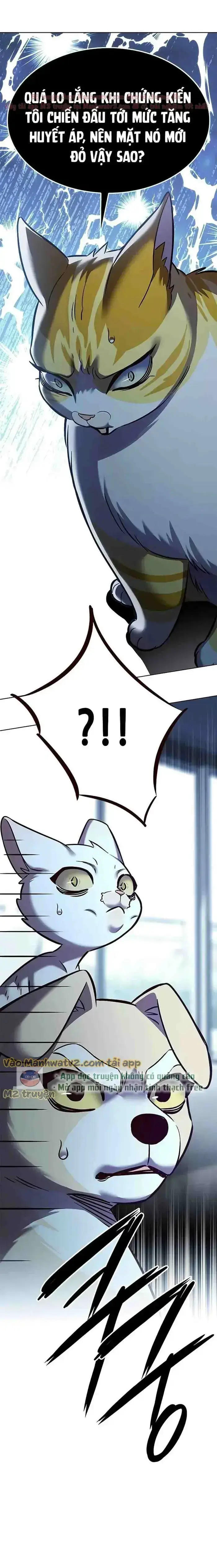 Hoá Thân Thành Mèo: Chapter 304