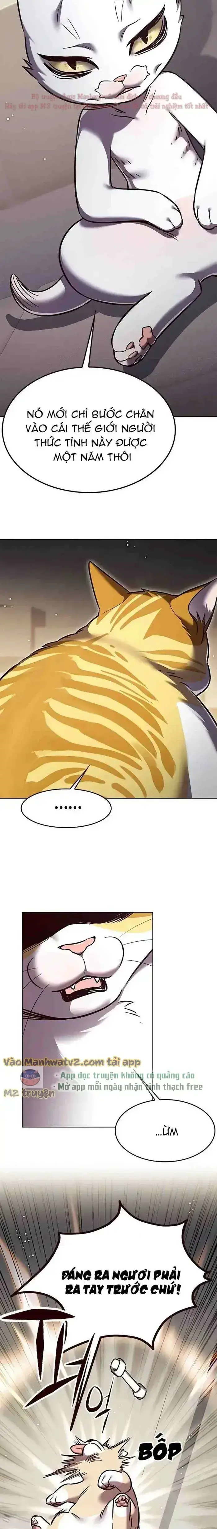 Hoá Thân Thành Mèo: Chapter 304