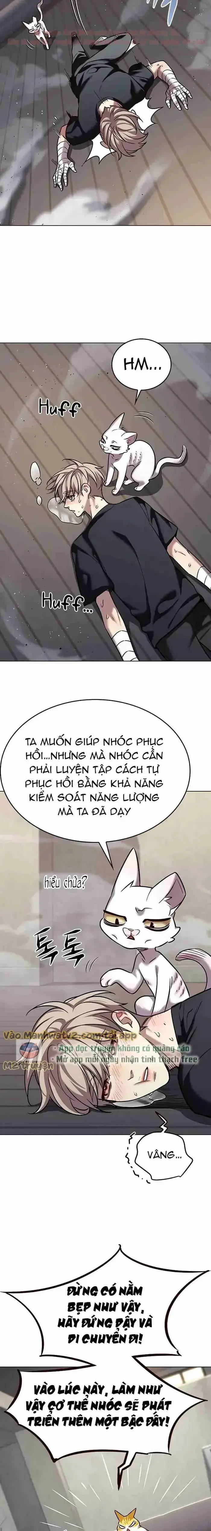 Hoá Thân Thành Mèo: Chapter 305