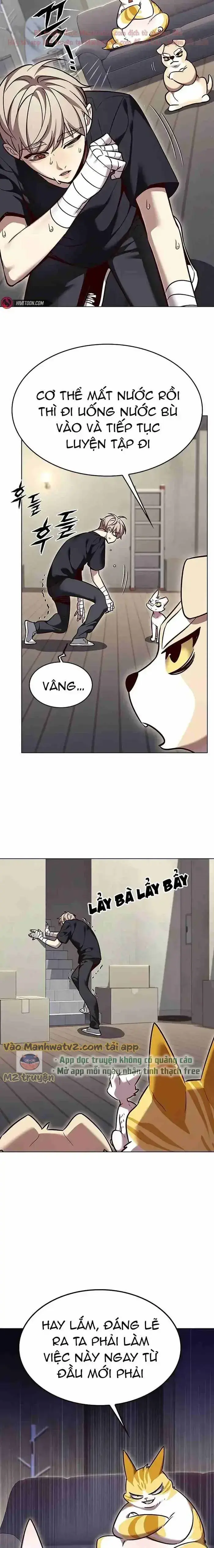 Hoá Thân Thành Mèo: Chapter 305