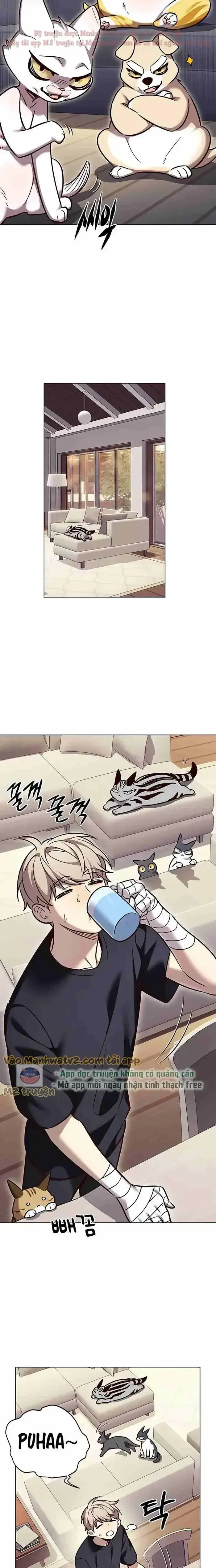 Hoá Thân Thành Mèo: Chapter 305