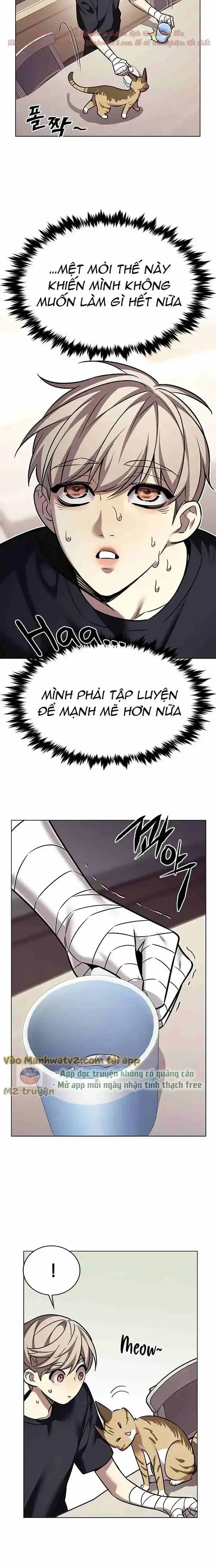 Hoá Thân Thành Mèo: Chapter 305