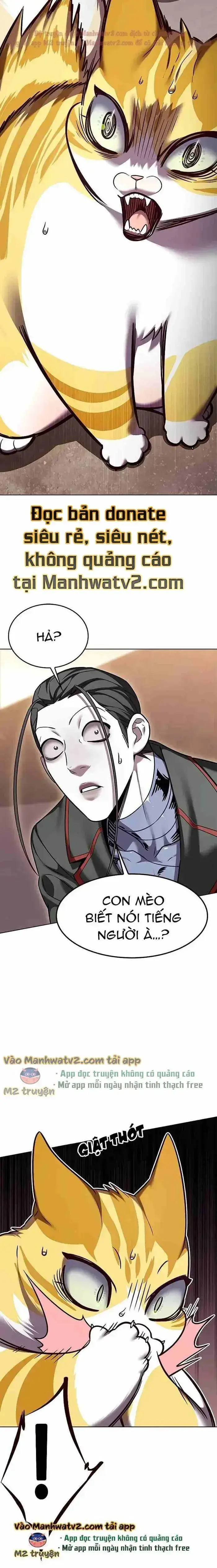 Hoá Thân Thành Mèo: Chapter 305