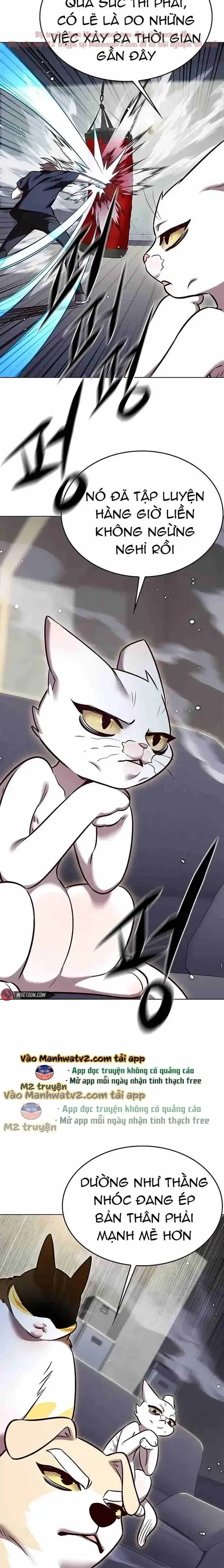 Hoá Thân Thành Mèo: Chapter 305