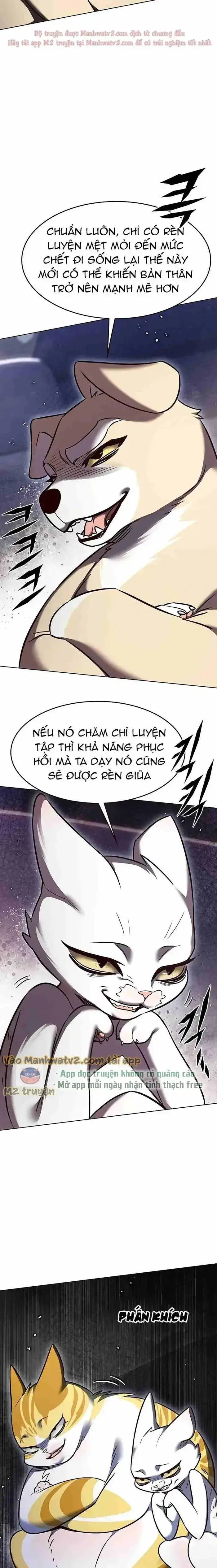 Hoá Thân Thành Mèo: Chapter 305