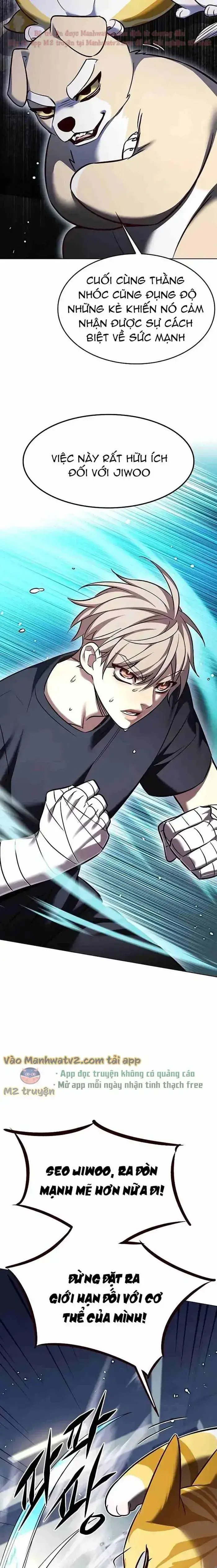 Hoá Thân Thành Mèo: Chapter 305