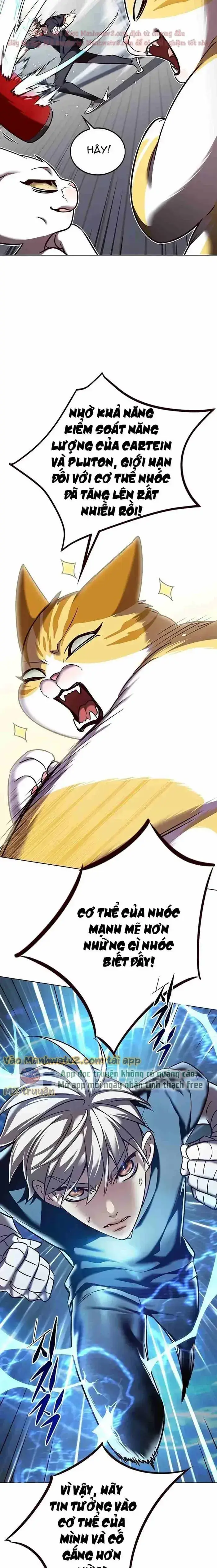 Hoá Thân Thành Mèo: Chapter 305