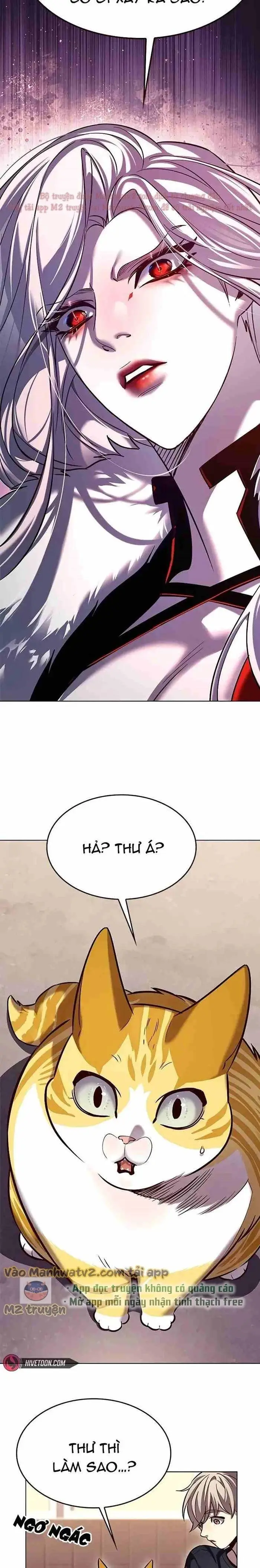 Hoá Thân Thành Mèo: Chapter 306