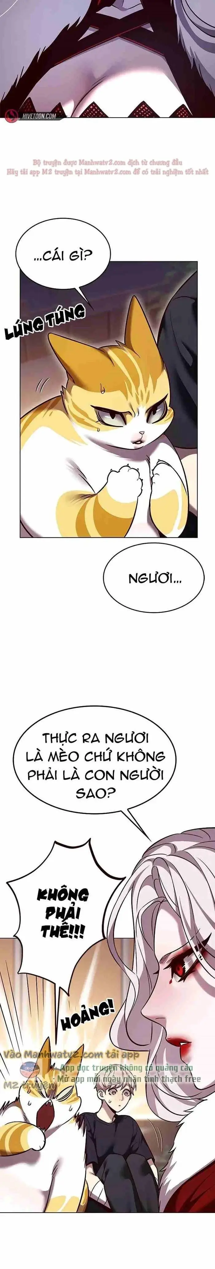 Hoá Thân Thành Mèo: Chapter 306