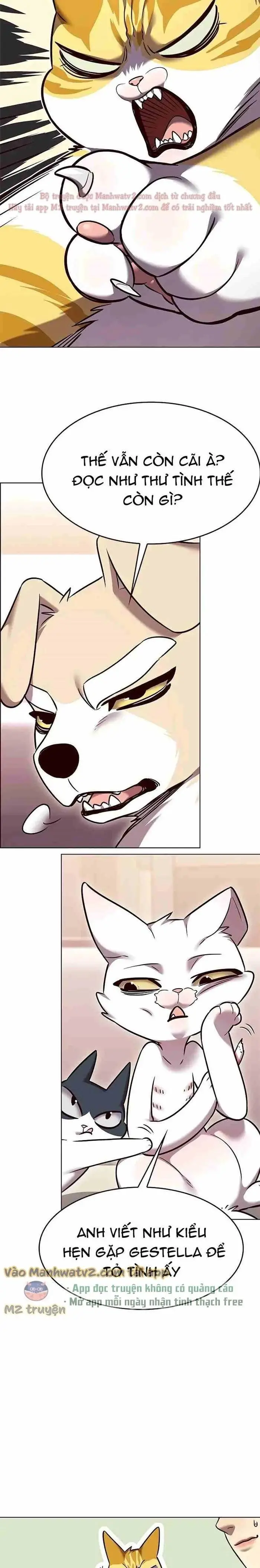 Hoá Thân Thành Mèo: Chapter 306