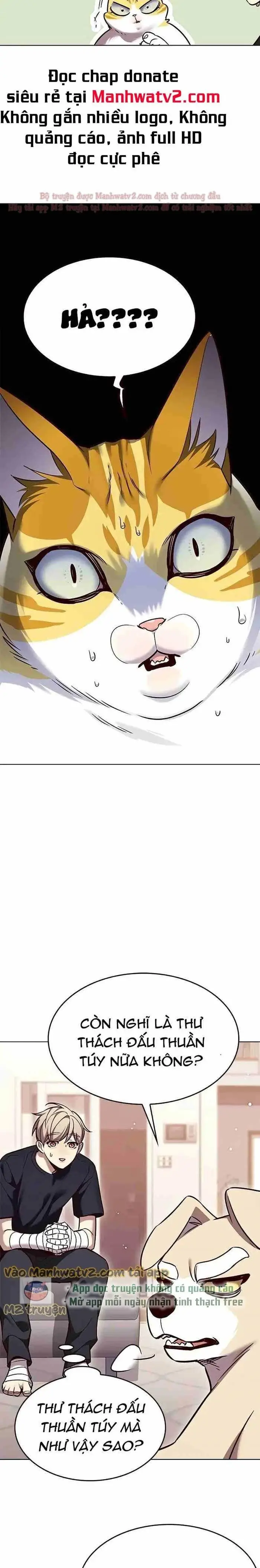 Hoá Thân Thành Mèo: Chapter 306