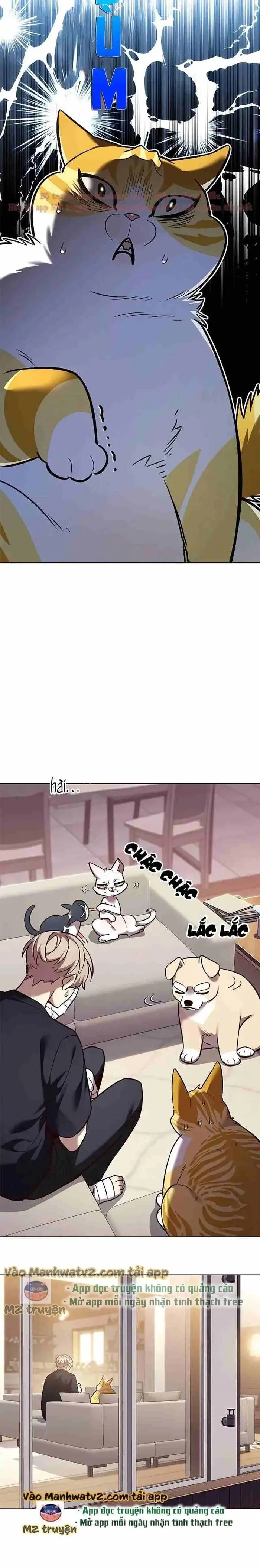 Hoá Thân Thành Mèo: Chapter 306