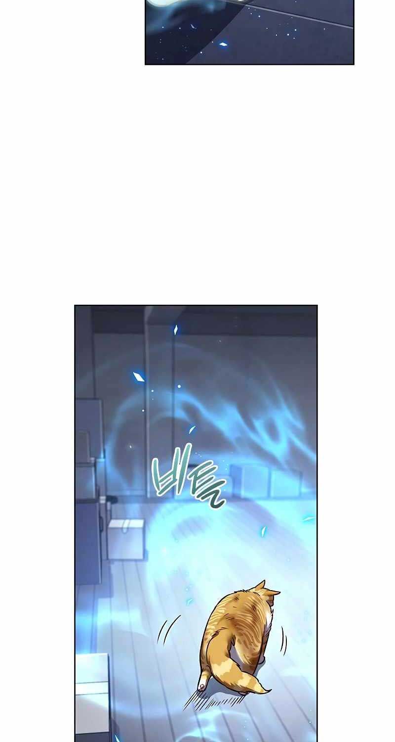 Hoá Thân Thành Mèo: Chapter 321