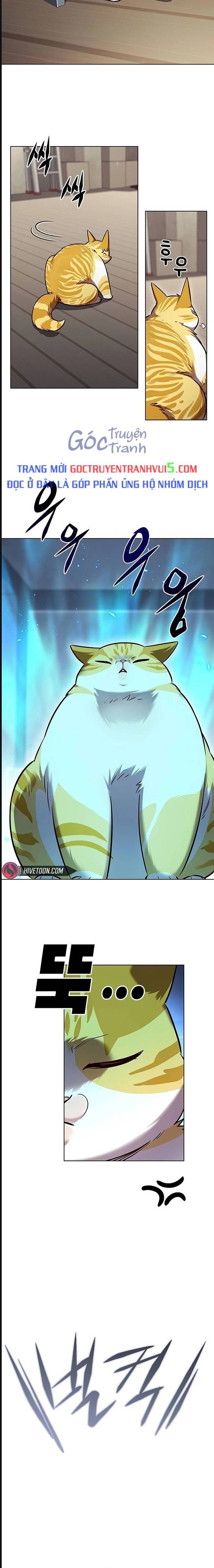 Hoá Thân Thành Mèo: Chapter 322