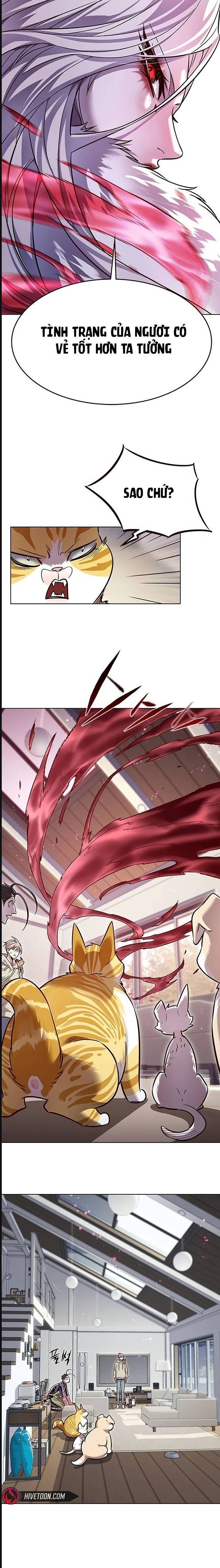 Hoá Thân Thành Mèo: Chapter 322