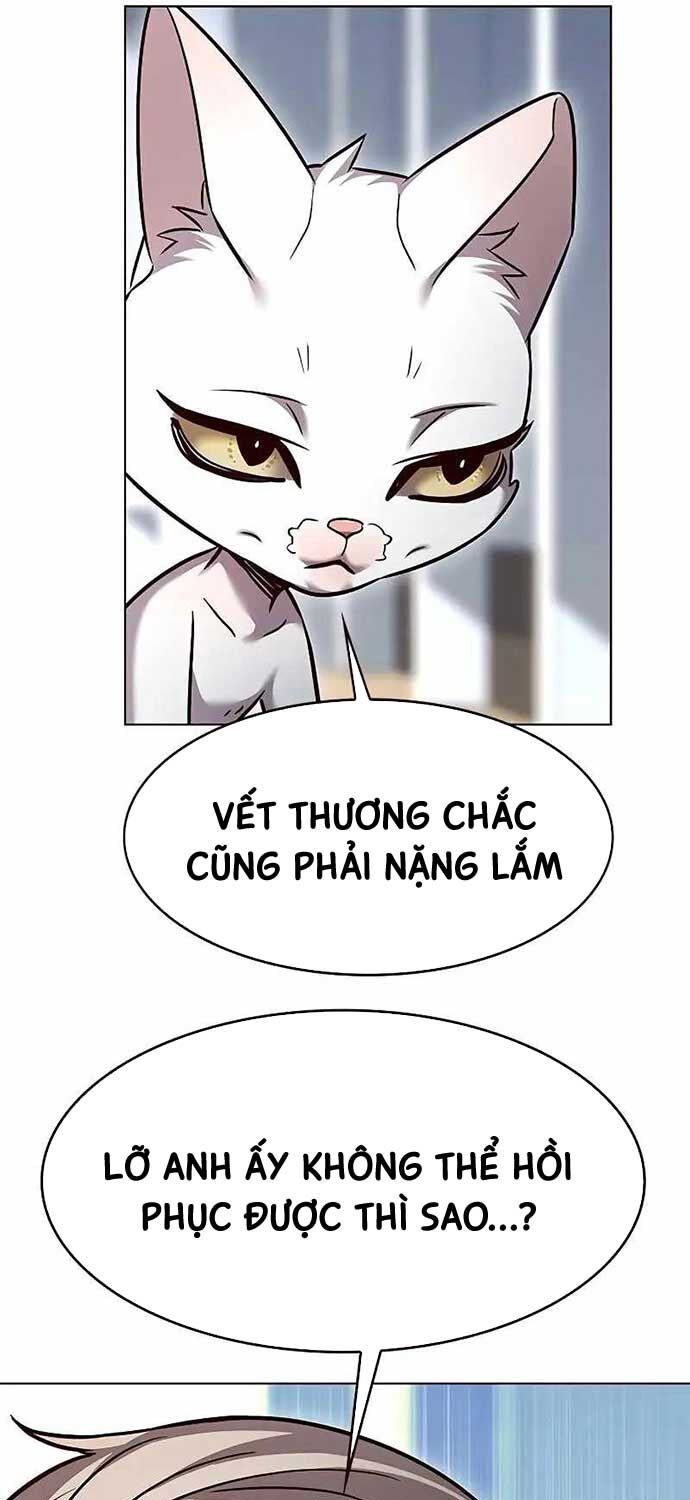 Hoá Thân Thành Mèo: Chapter 323