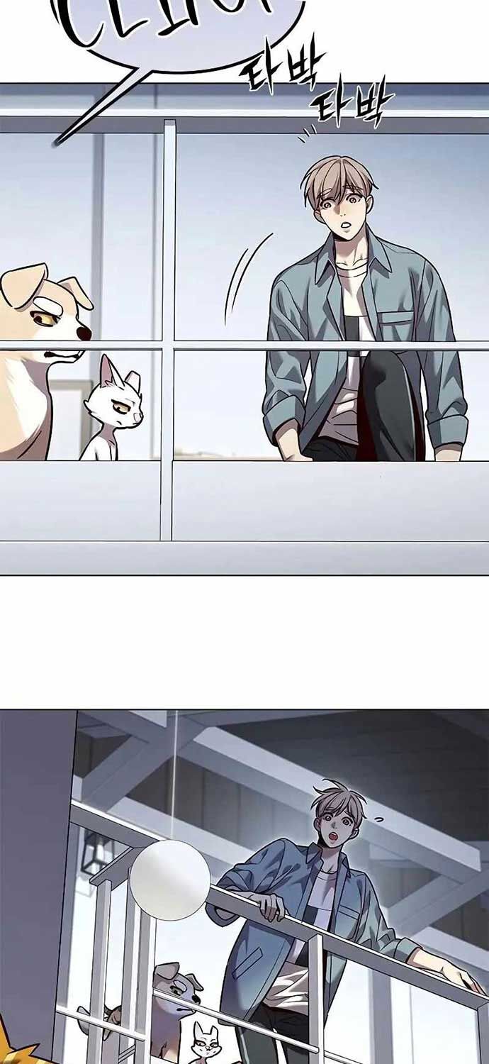 Hoá Thân Thành Mèo: Chapter 323