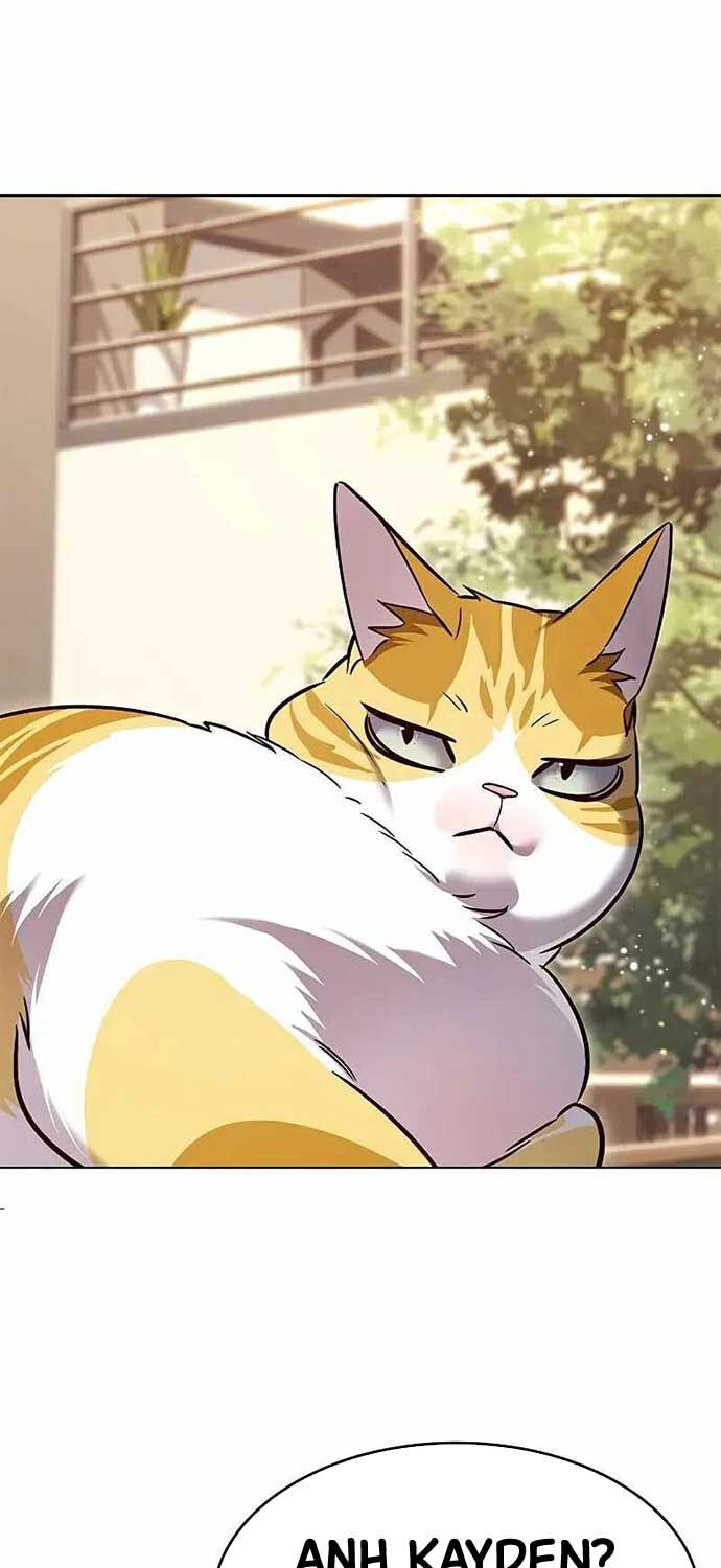 Hoá Thân Thành Mèo: Chapter 323