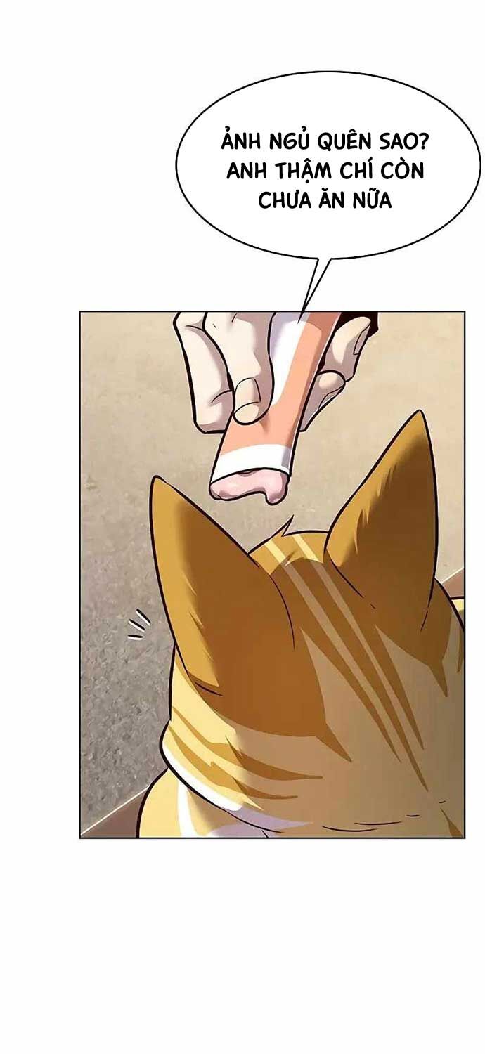 Hoá Thân Thành Mèo: Chapter 323