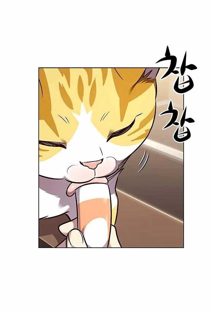 Hoá Thân Thành Mèo: Chapter 323