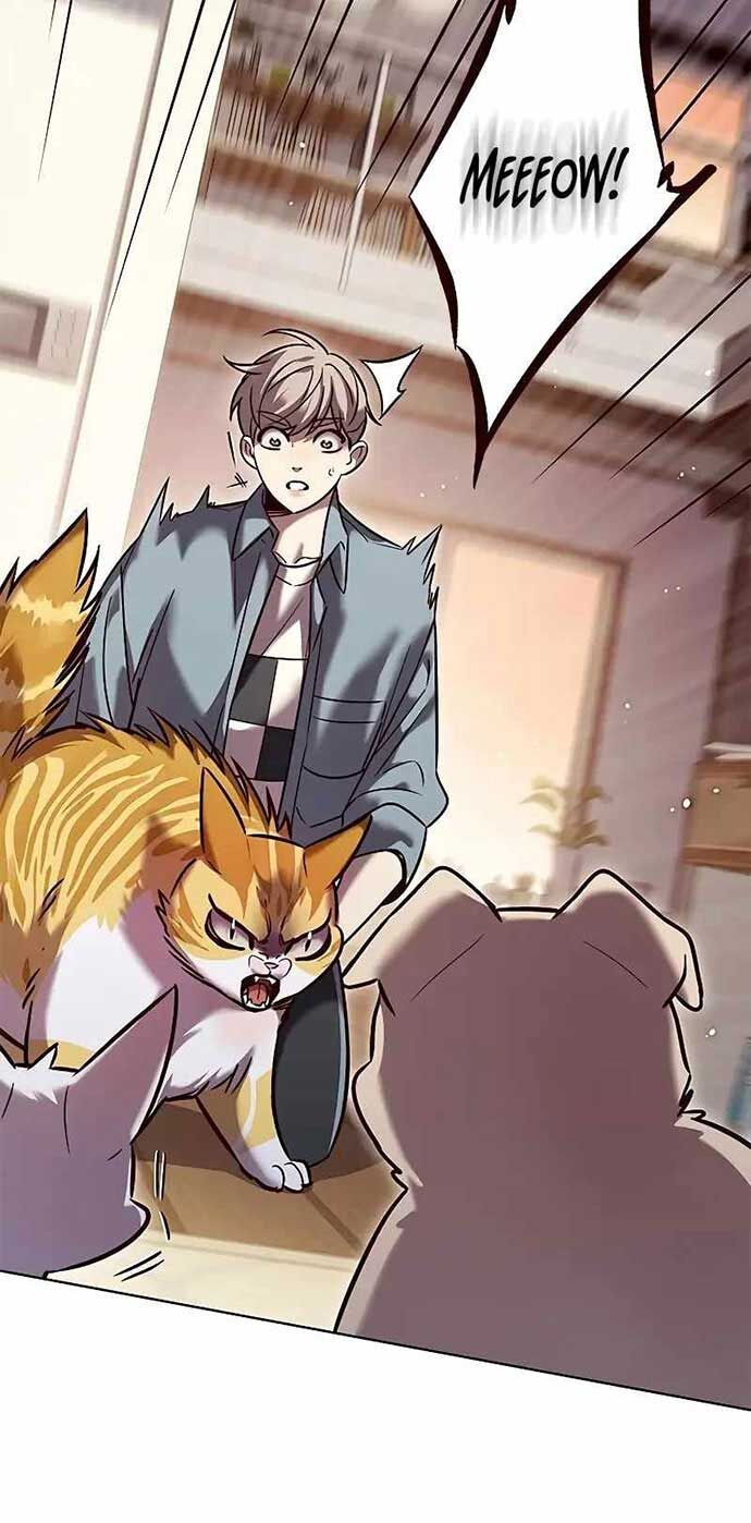 Hoá Thân Thành Mèo: Chapter 323