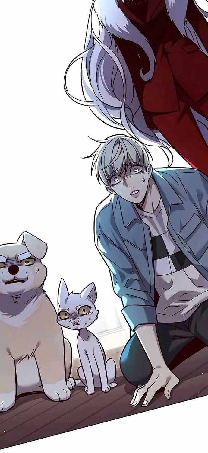 Hoá Thân Thành Mèo: Chapter 323