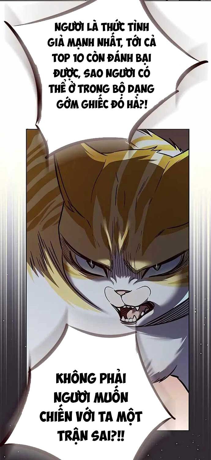 Hoá Thân Thành Mèo: Chapter 323