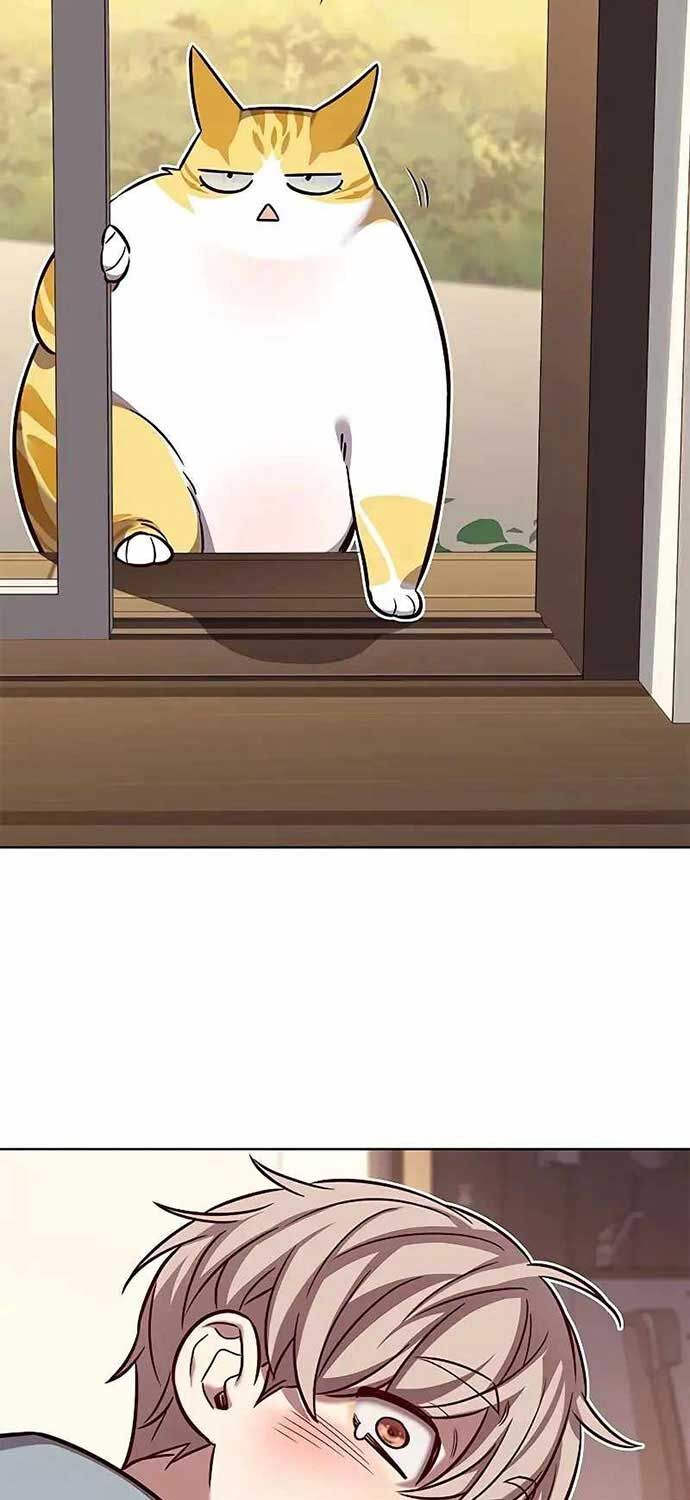 Hoá Thân Thành Mèo: Chapter 323