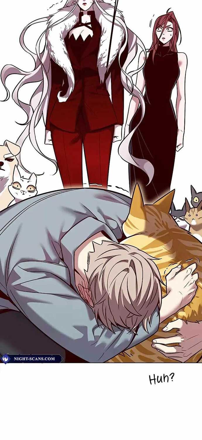 Hoá Thân Thành Mèo: Chapter 323