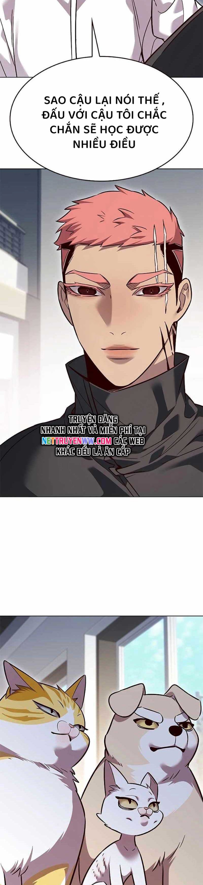 Hoá Thân Thành Mèo: Chapter 324