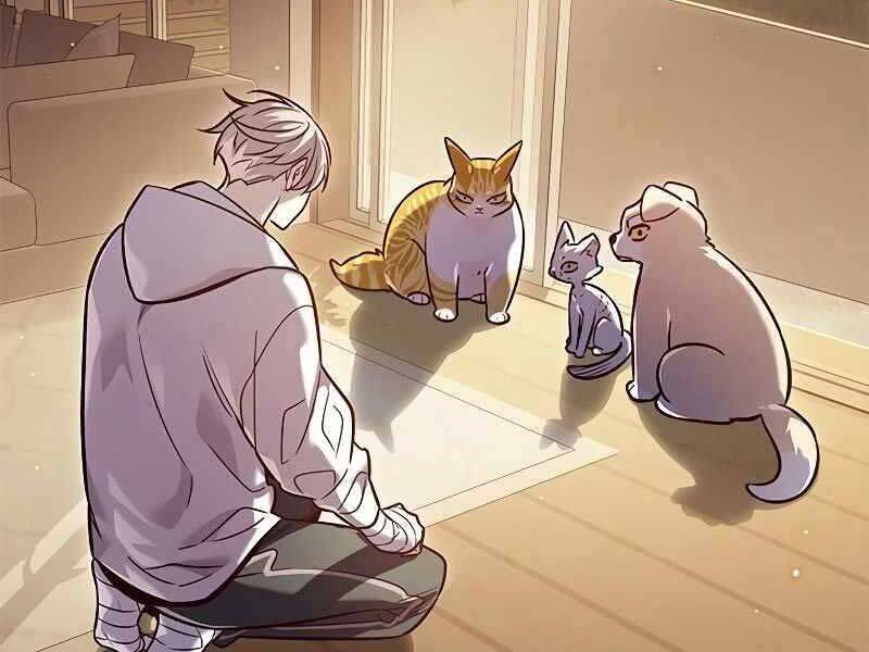 Hoá Thân Thành Mèo: Chapter 325