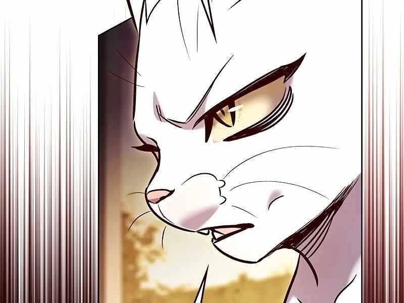 Hoá Thân Thành Mèo: Chapter 325