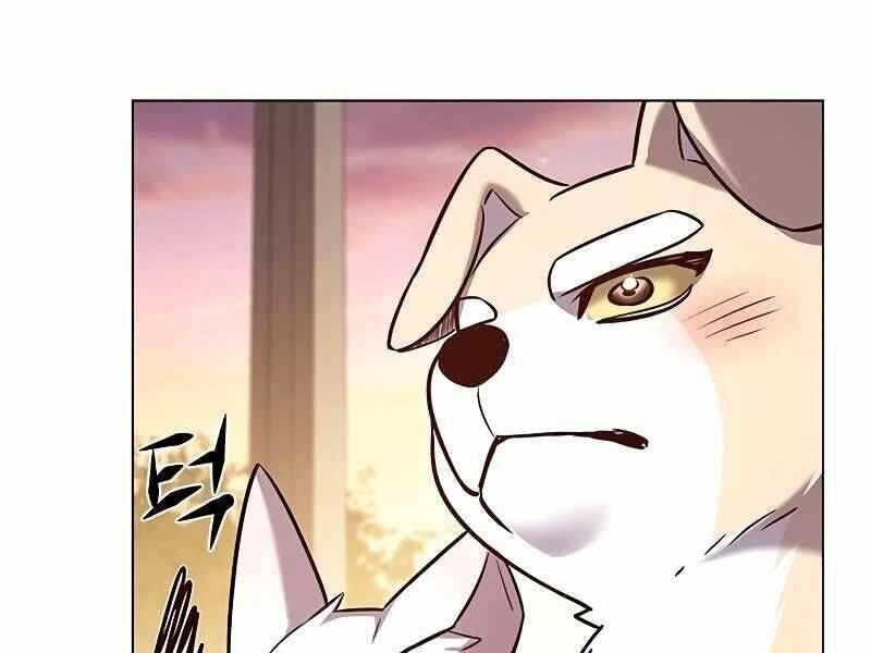 Hoá Thân Thành Mèo: Chapter 325