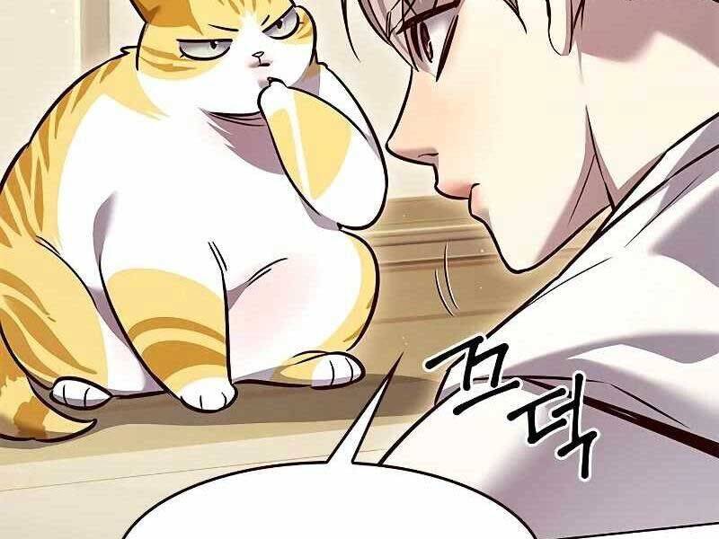 Hoá Thân Thành Mèo: Chapter 325