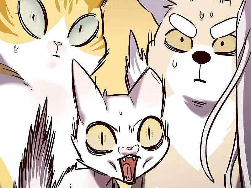 Hoá Thân Thành Mèo: Chapter 325