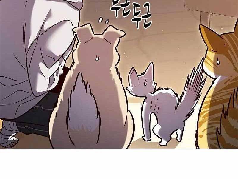 Hoá Thân Thành Mèo: Chapter 325