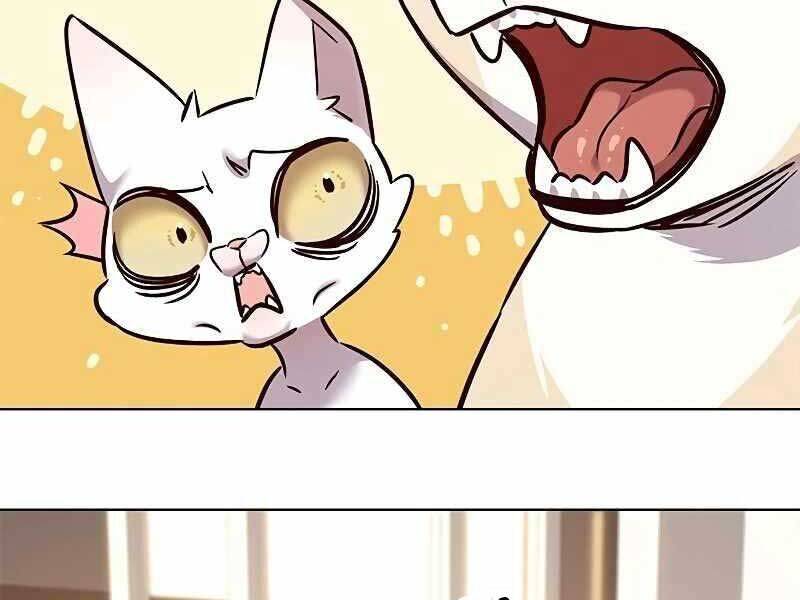 Hoá Thân Thành Mèo: Chapter 325