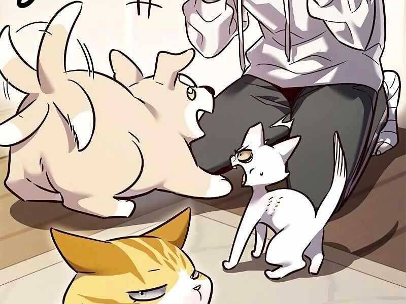 Hoá Thân Thành Mèo: Chapter 325