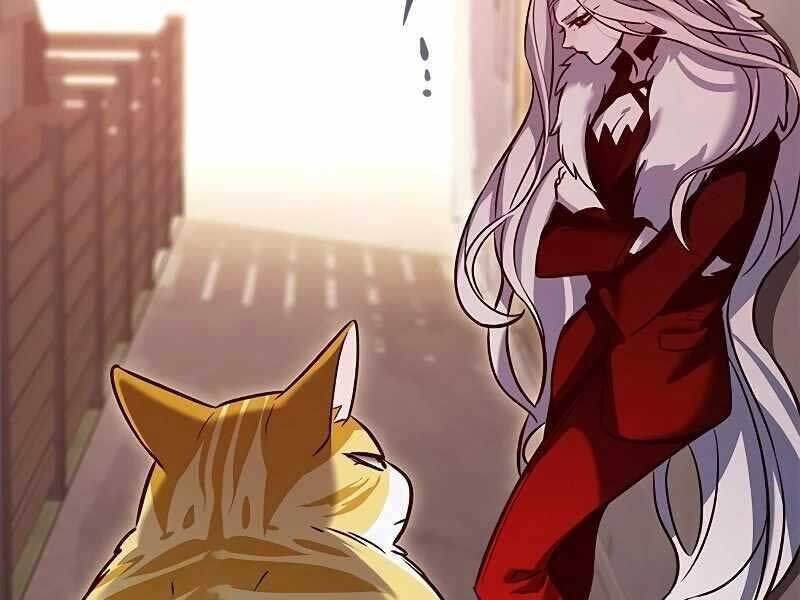 Hoá Thân Thành Mèo: Chapter 325