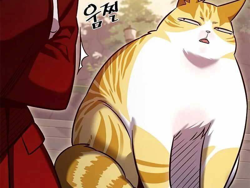 Hoá Thân Thành Mèo: Chapter 325