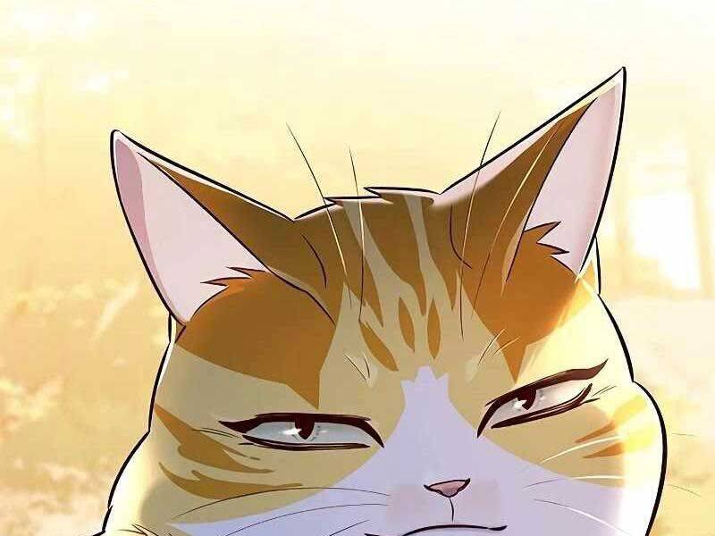 Hoá Thân Thành Mèo: Chapter 325