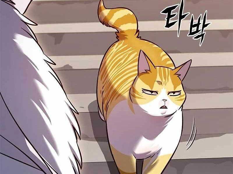 Hoá Thân Thành Mèo: Chapter 325