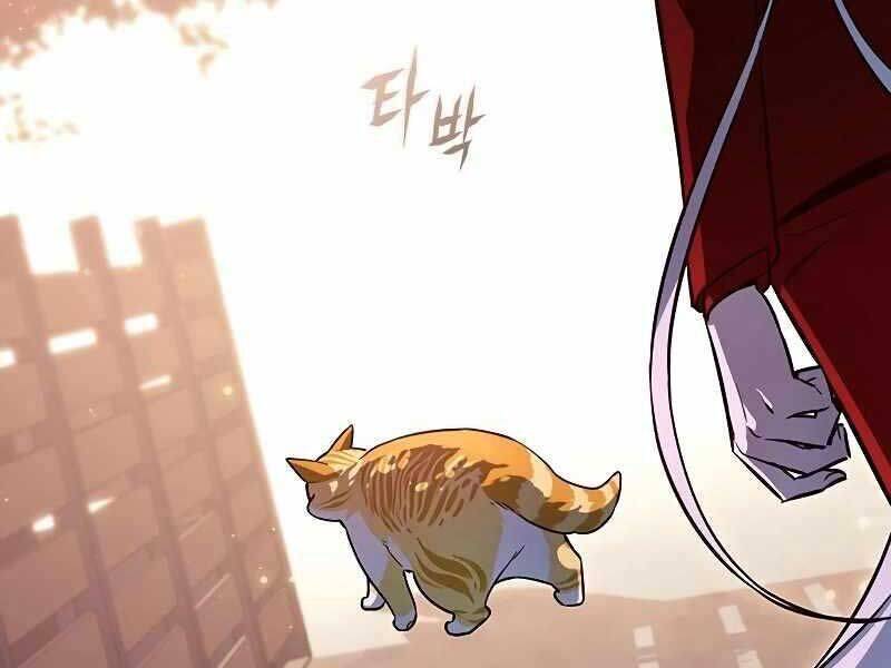 Hoá Thân Thành Mèo: Chapter 325