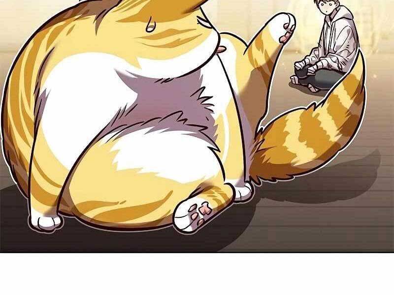 Hoá Thân Thành Mèo: Chapter 325