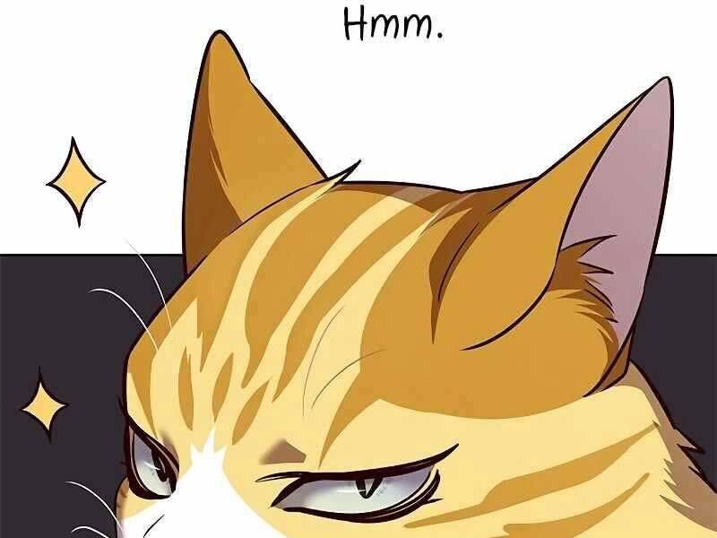 Hoá Thân Thành Mèo: Chapter 325