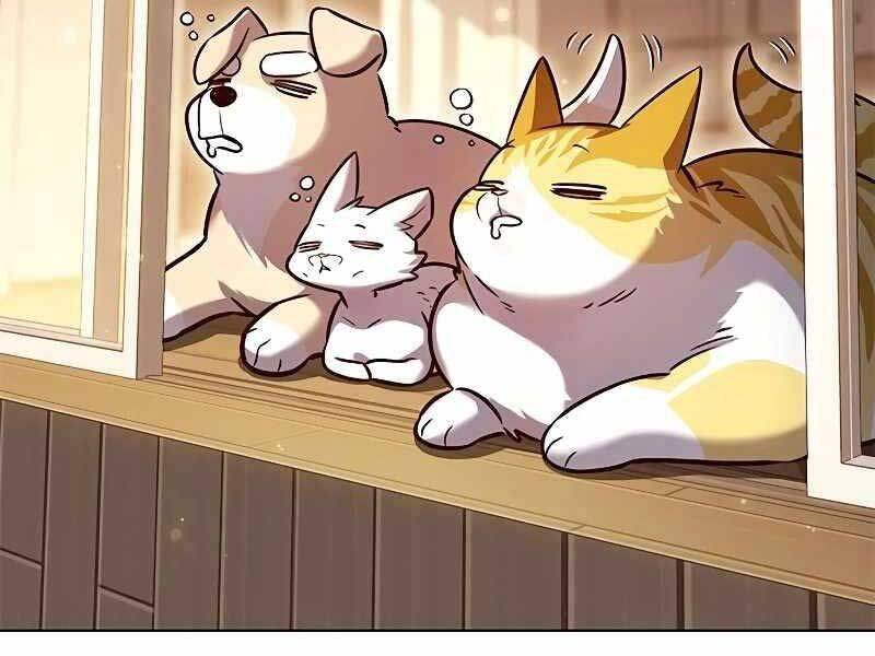 Hoá Thân Thành Mèo: Chapter 325