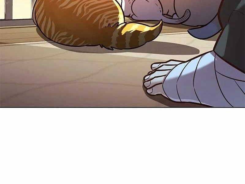 Hoá Thân Thành Mèo: Chapter 325