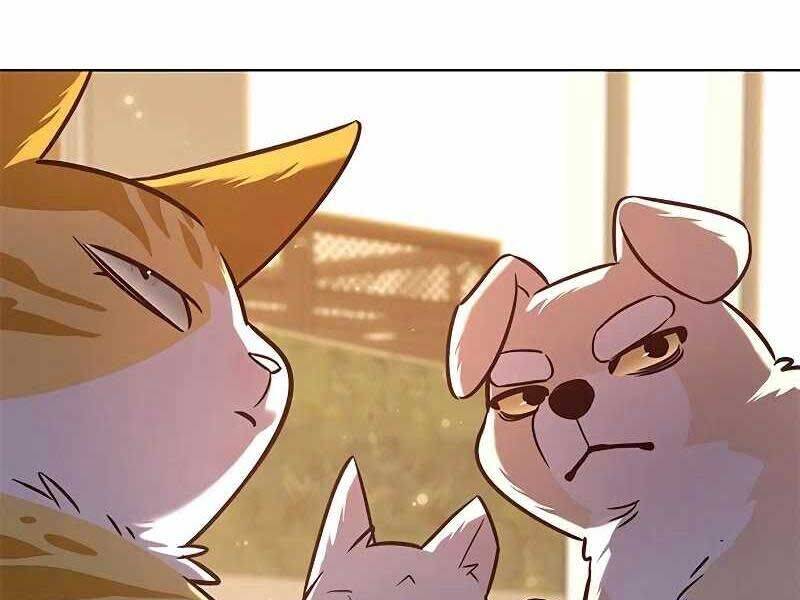 Hoá Thân Thành Mèo: Chapter 325