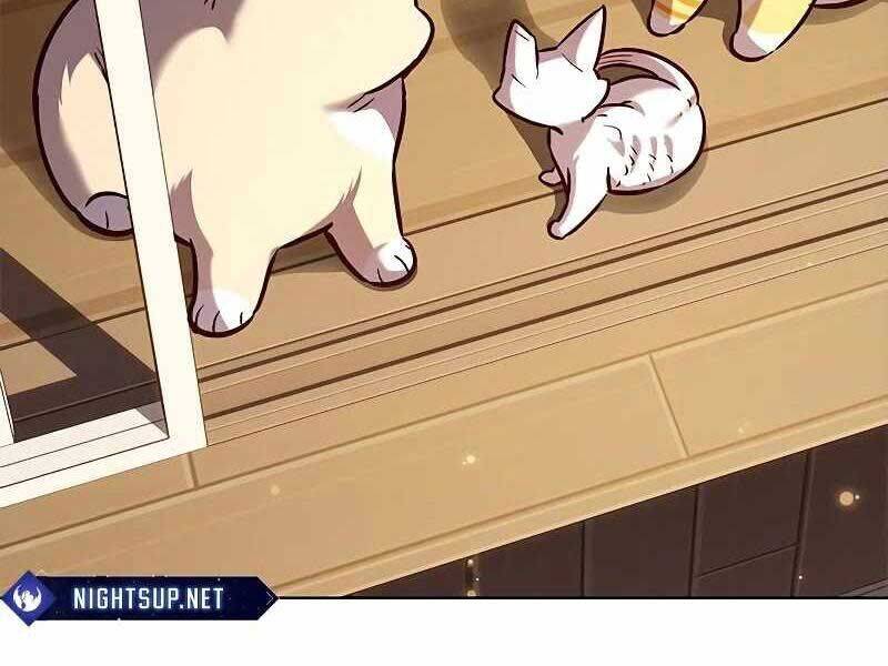 Hoá Thân Thành Mèo: Chapter 325
