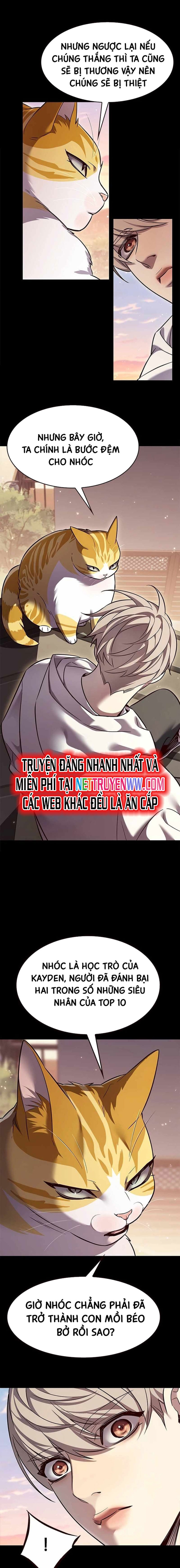 Hoá Thân Thành Mèo: Chapter 326